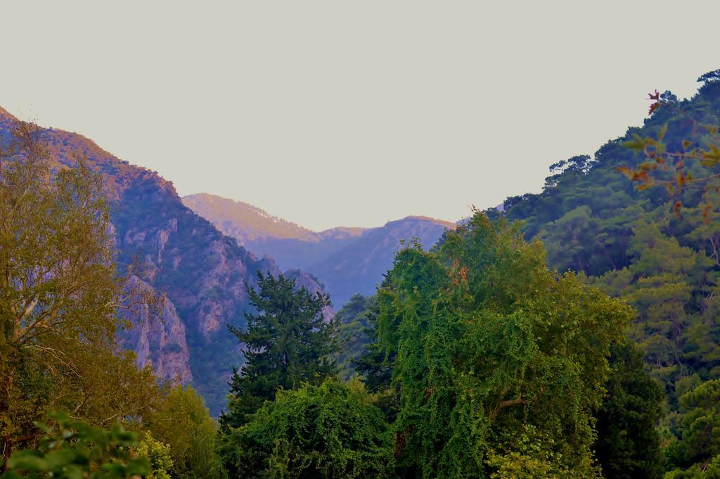 Safir Pansiyon Çıralı Extérieur photo