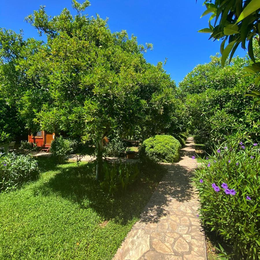 Safir Pansiyon Çıralı Extérieur photo